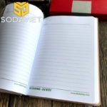 sodadeduongmattrong2-small